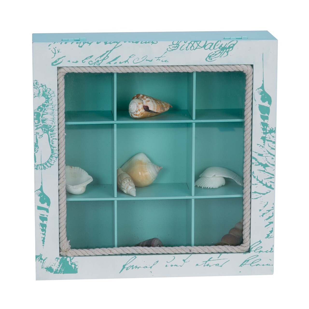 Square Shell Collecting Glass Wood Keepsake Memories Coastal Shadow Box